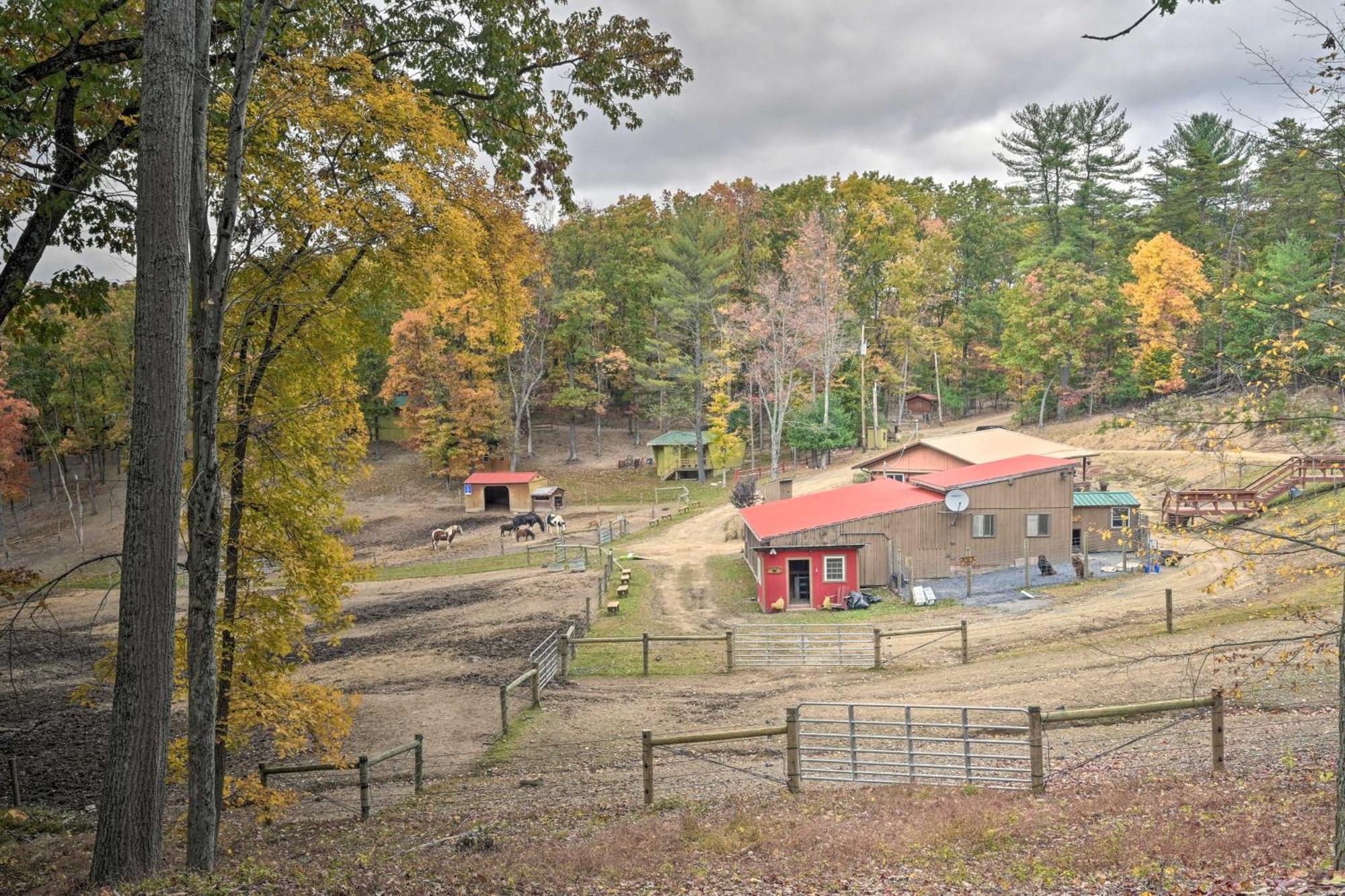 Lone Ranger Cabin With 50 Acres By Raystown Lake ฮันทิงดัน ภายนอก รูปภาพ