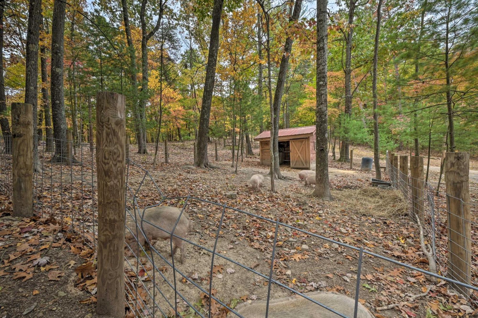 Lone Ranger Cabin With 50 Acres By Raystown Lake ฮันทิงดัน ภายนอก รูปภาพ