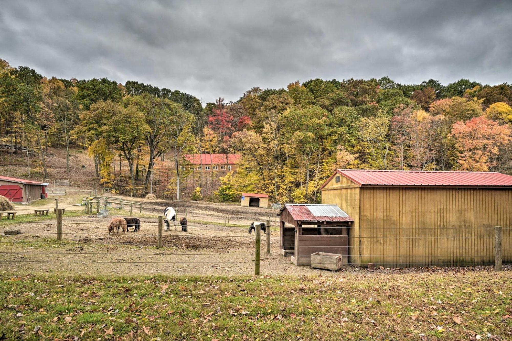 Lone Ranger Cabin With 50 Acres By Raystown Lake ฮันทิงดัน ภายนอก รูปภาพ