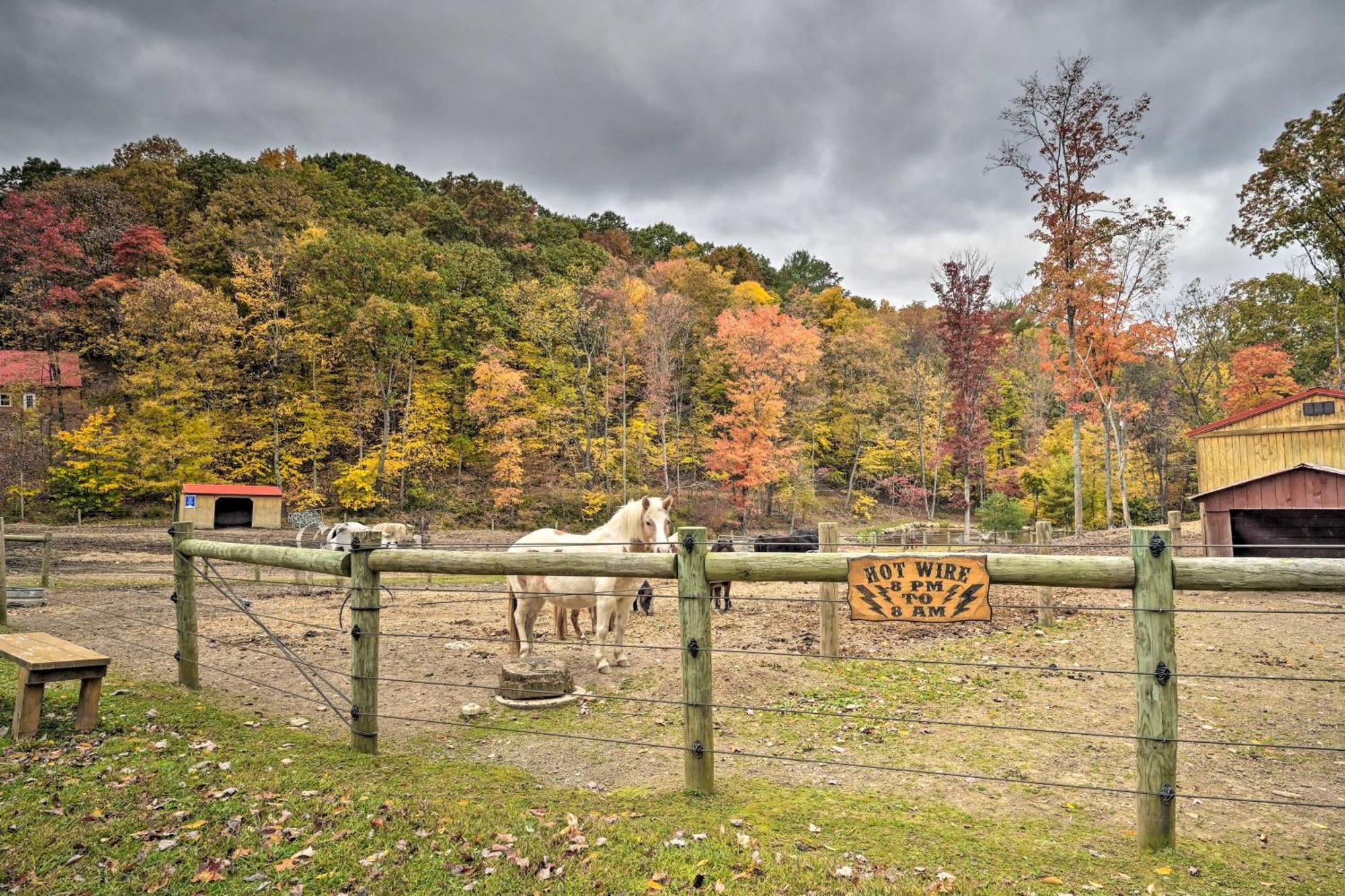 Lone Ranger Cabin With 50 Acres By Raystown Lake ฮันทิงดัน ภายนอก รูปภาพ