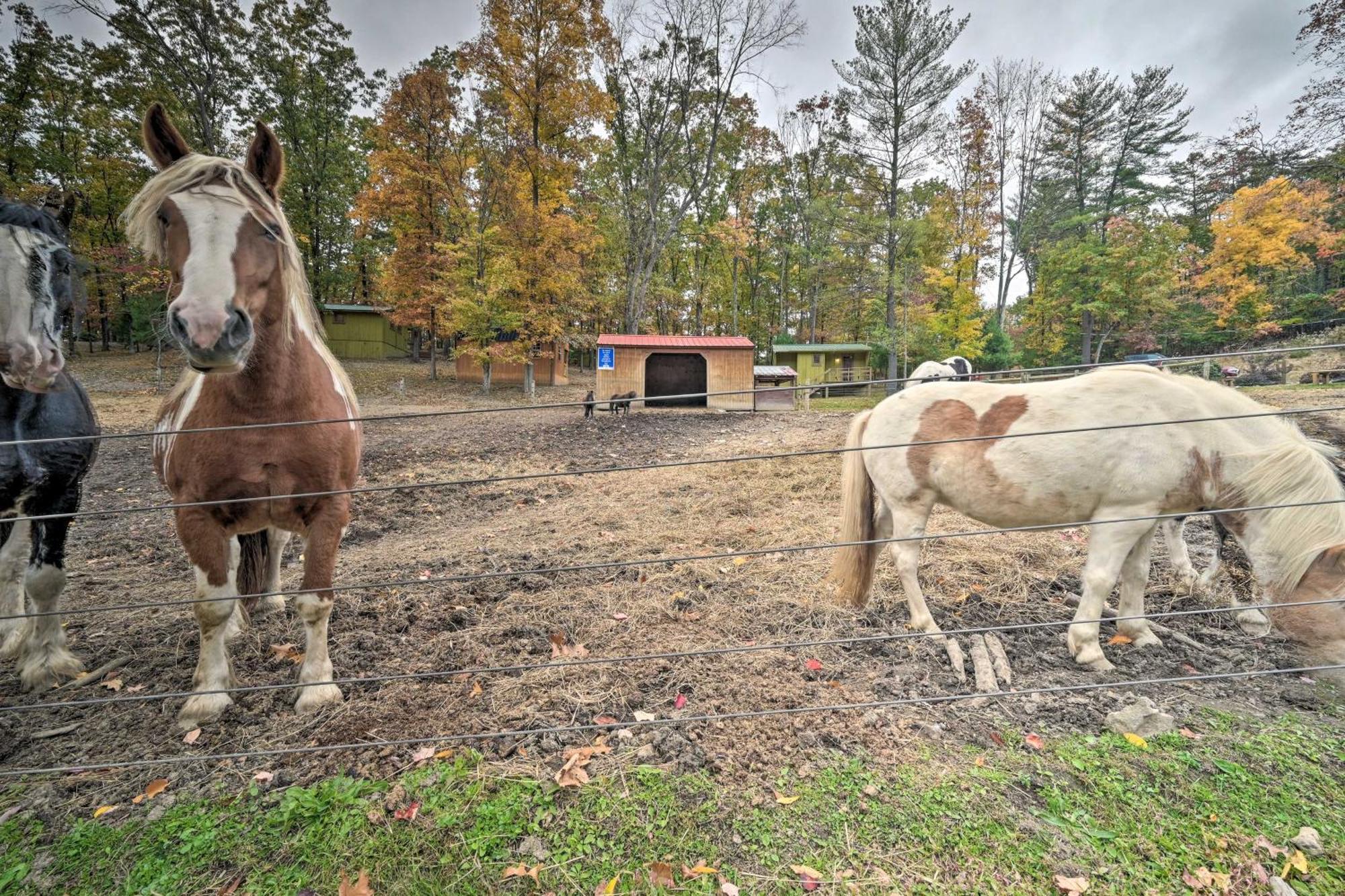 Lone Ranger Cabin With 50 Acres By Raystown Lake ฮันทิงดัน ภายนอก รูปภาพ